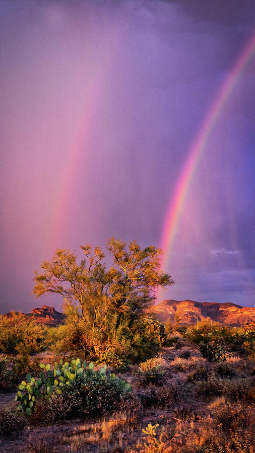Purple Skies And Rainbows  Photograph by Saija Lehtonen