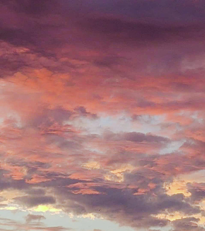 Purple sky Photograph by Victoria A Smith - Fine Art America