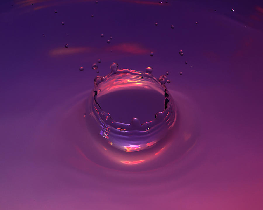 Purple Splash 1 Photograph