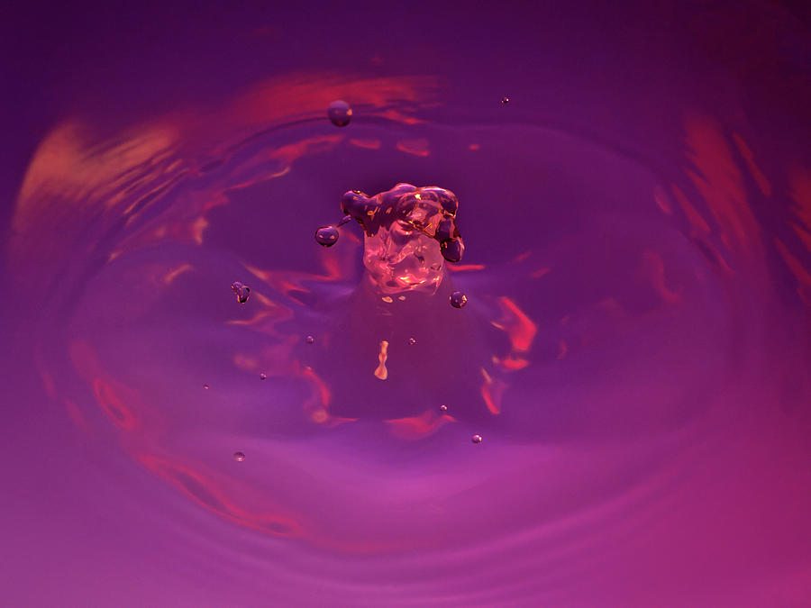 Purple Splash 3 Photograph