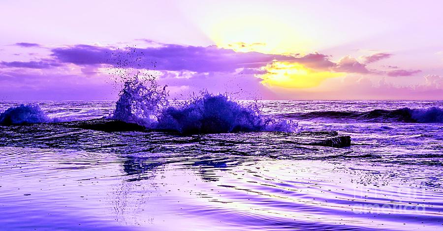 Purple spray Photograph by Pat b Moore - Fine Art America