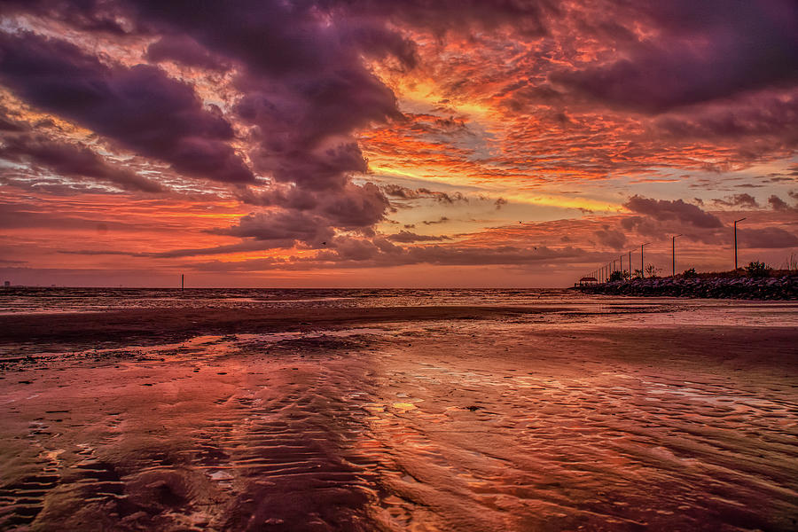 Purple Sunrise Photograph by Brian Wright