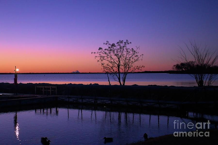 Purple Sunrise Photograph by Diana Mary Sharpton