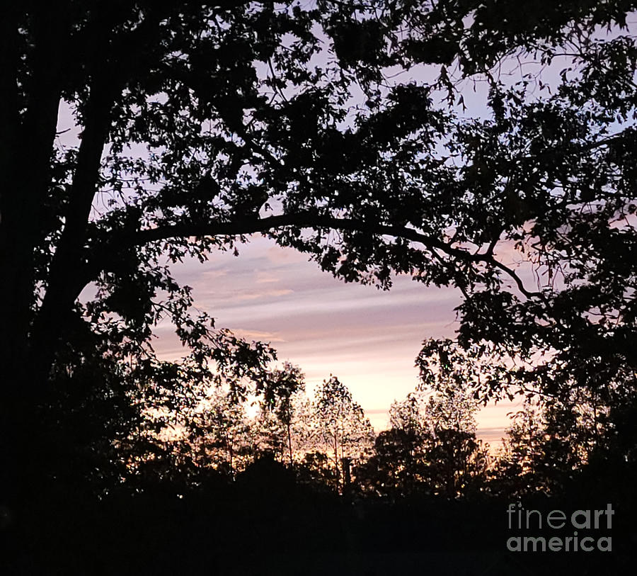 Purple Sunset Silhouette  Photograph by Donna Brown