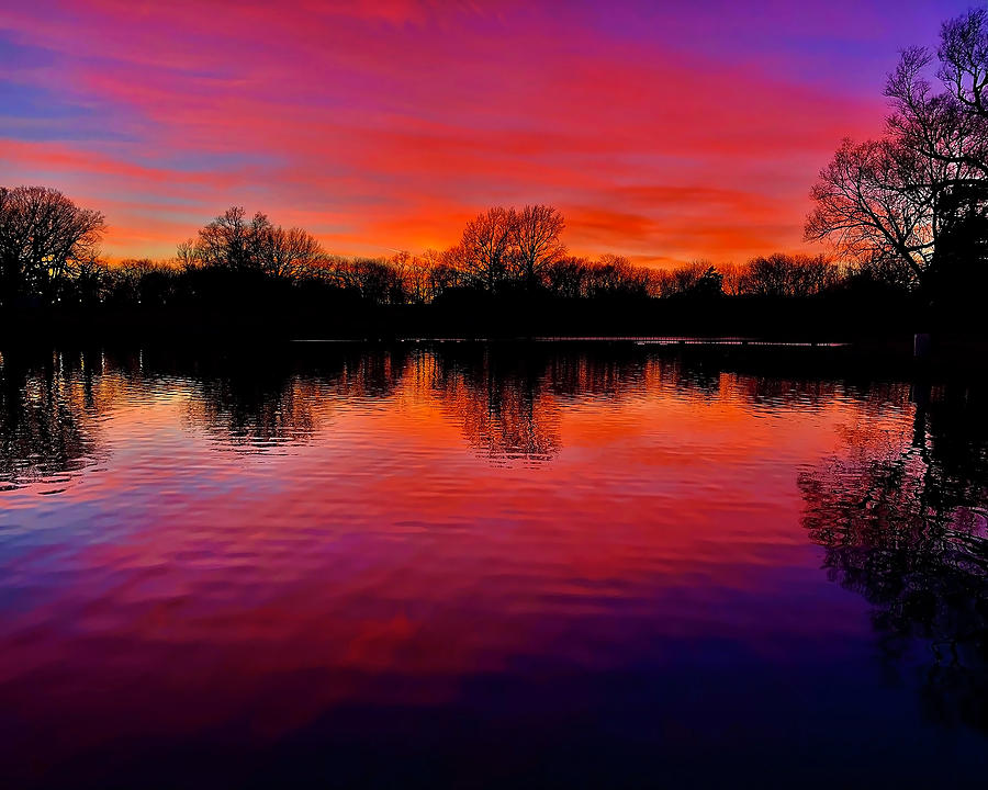 Purple Sunset Photograph