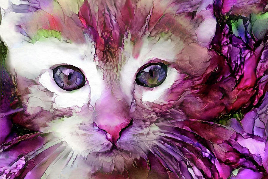 Purple Tabby Kitten Digital Art by Peggy Collins