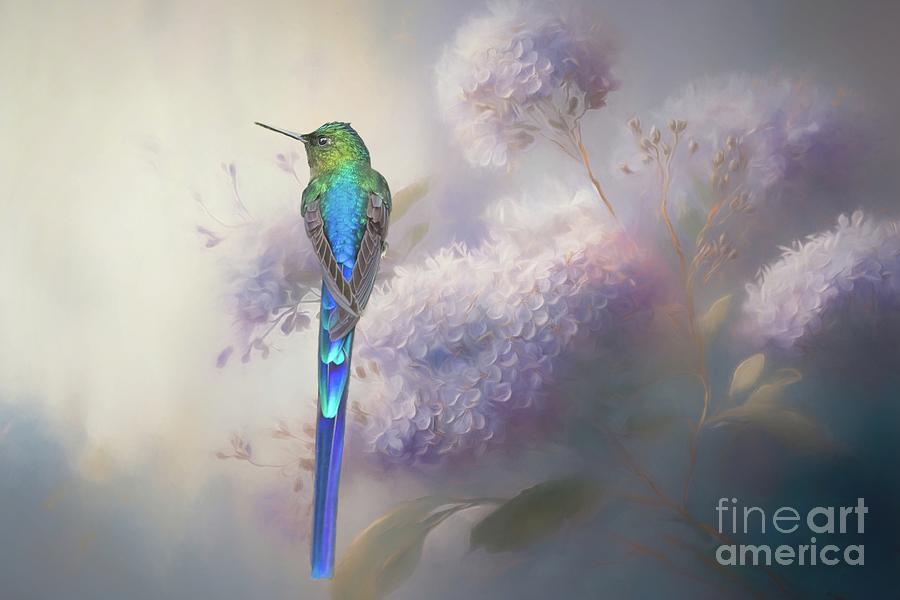 Purple-Tailed Sylph Mixed Media by Eva Lechner