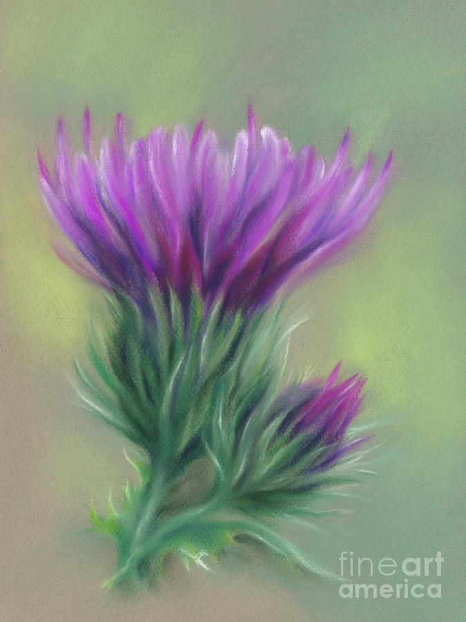 Purple Thistle Blossom and Bud Painting by MM Anderson