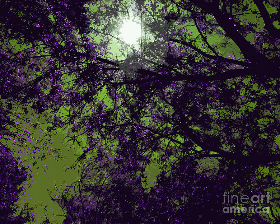Purple Tree Branches Digital Art by Kirt Tisdale