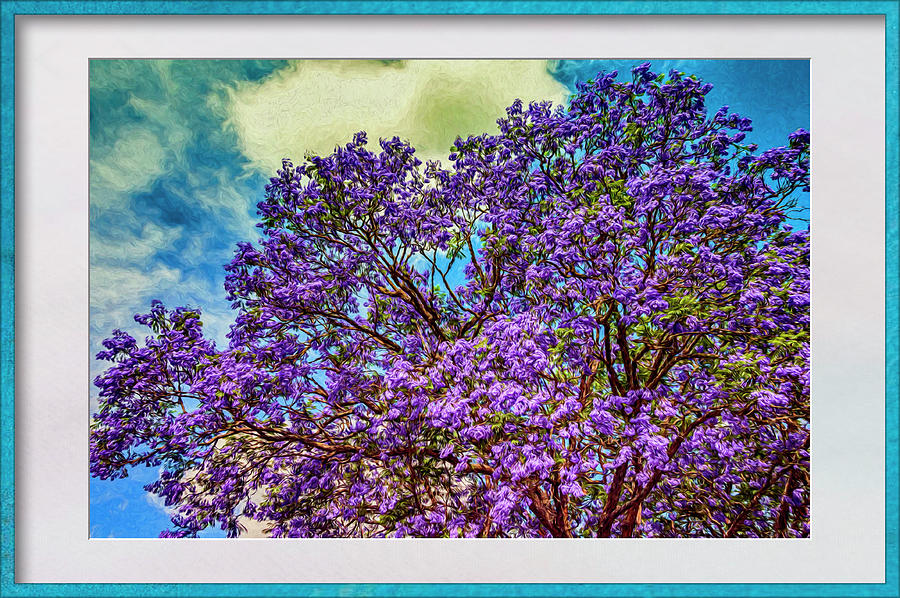 Purple Tree Photograph