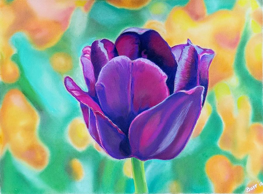 Purple tulip Drawing by Oksana Burr Fine Art America