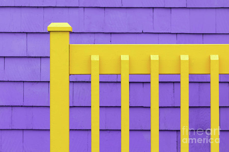 Purple wall and yellow fence Photograph by Jane Rix