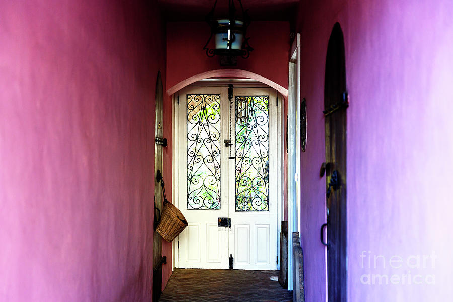 Purple Walls in Charleston Photograph by John Rizzuto