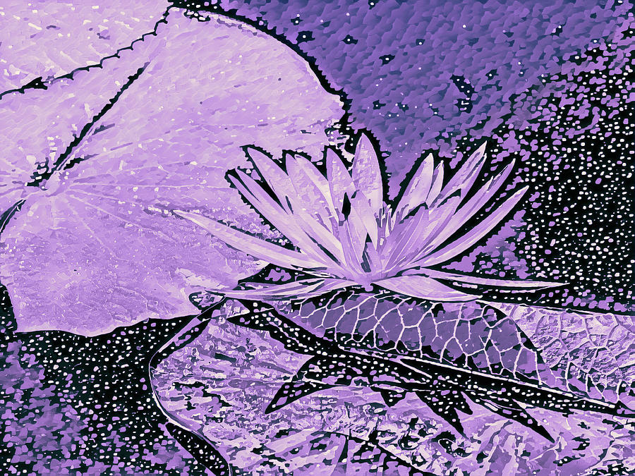 Purple Water Lily Abstract  Digital Art by Marianne Campolongo