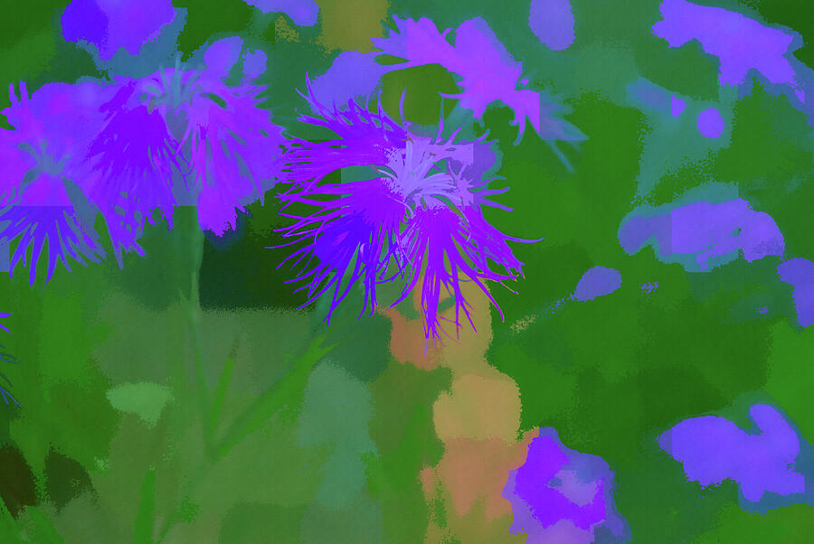 Purple Wildflower Abstract Digital Art by Shelli Fitzpatrick