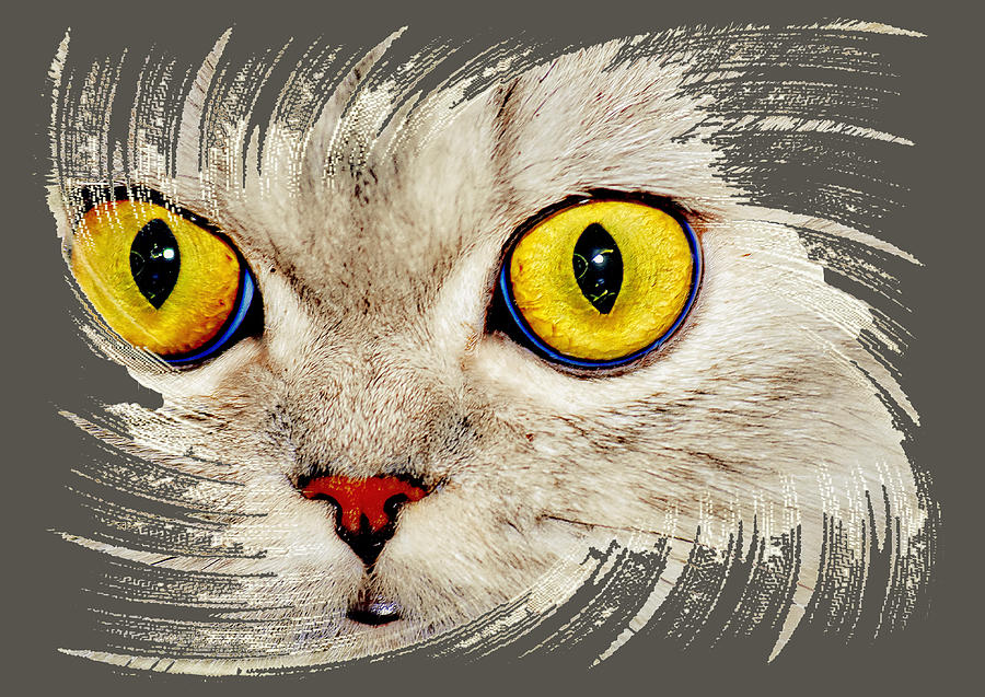 Purrrfect Cat Digital Art by Michelle Liebenberg