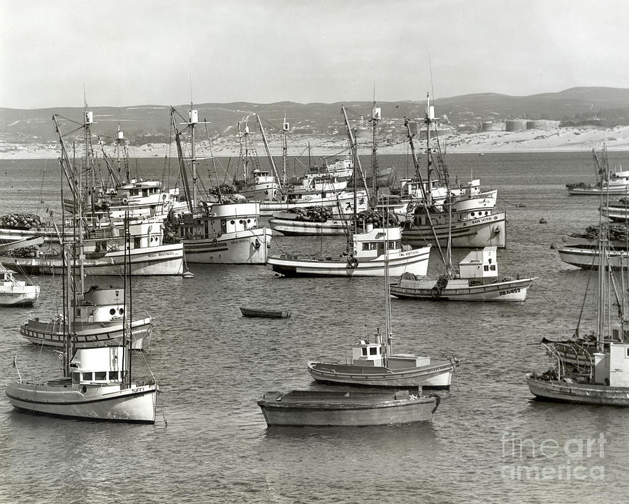 Boat Photograph - Purse seiners Riso Brothers, New Roma, Linna V II,  San Vito, Two Brothers,  1948 by Monterey County Historical Society