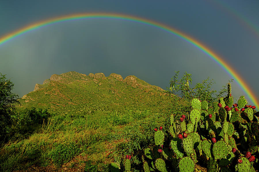 Pusch Ridge Rainbow H24099 Photograph