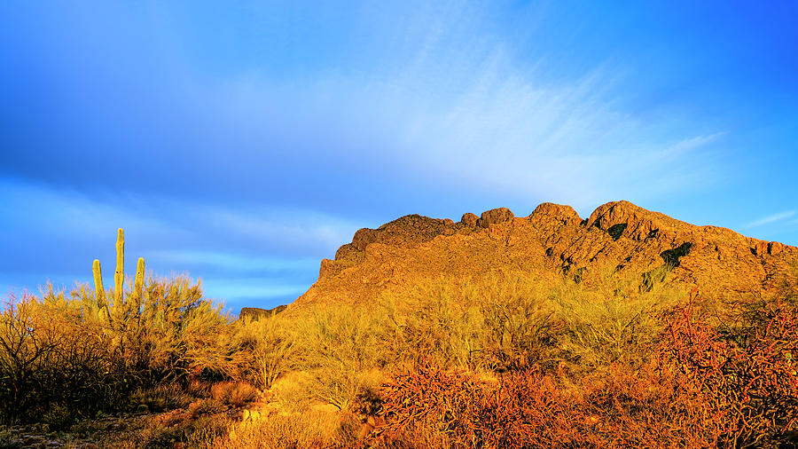 Pusch Ridge Vista h24260 Photograph by Mark Myhaver Fine Art America