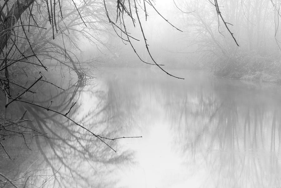 Putah Creek on a foggy morning Photograph by Alessandra RC