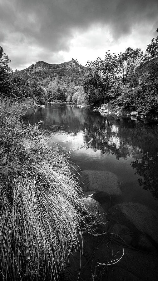 Putah Creek solano county, california  Photograph by Mike Fusaro