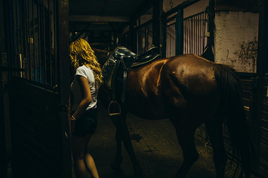 Putting horse in a stable Photograph by South_agency