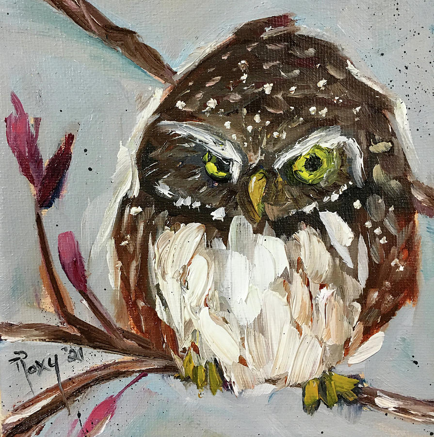 Pygmy Owl  Painting by Roxy Rich