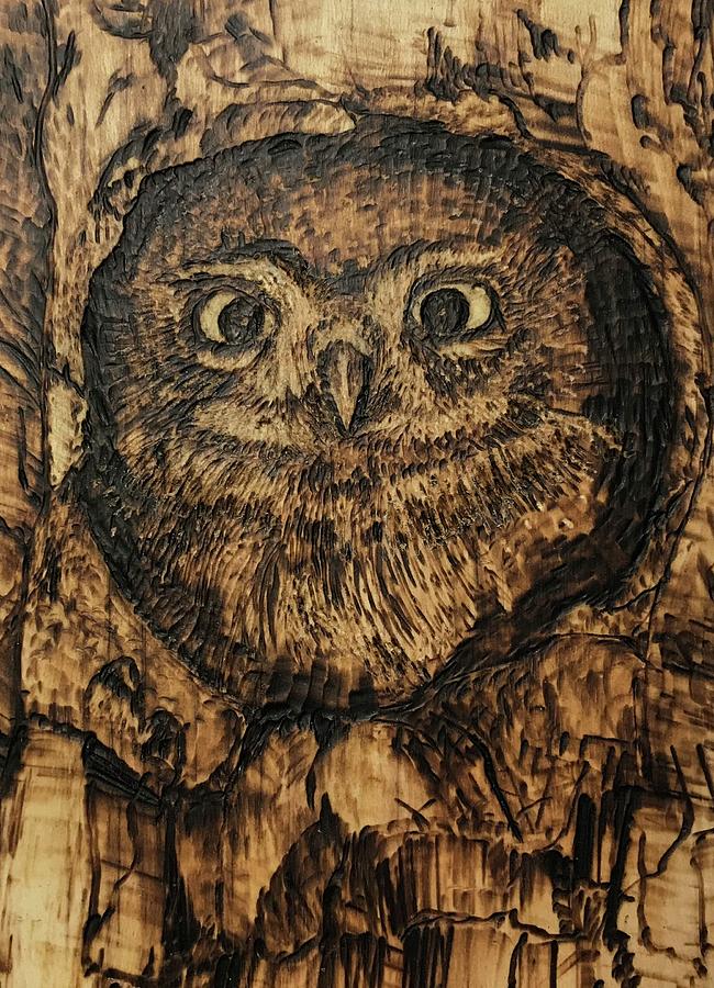 Pygmy Owl Pyrography by Terry Frederick