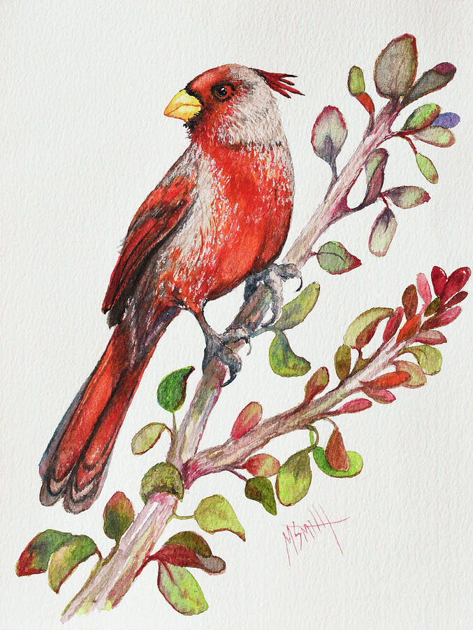 Wildlife Painting - Pyrrhuloxia by Marilyn Smith