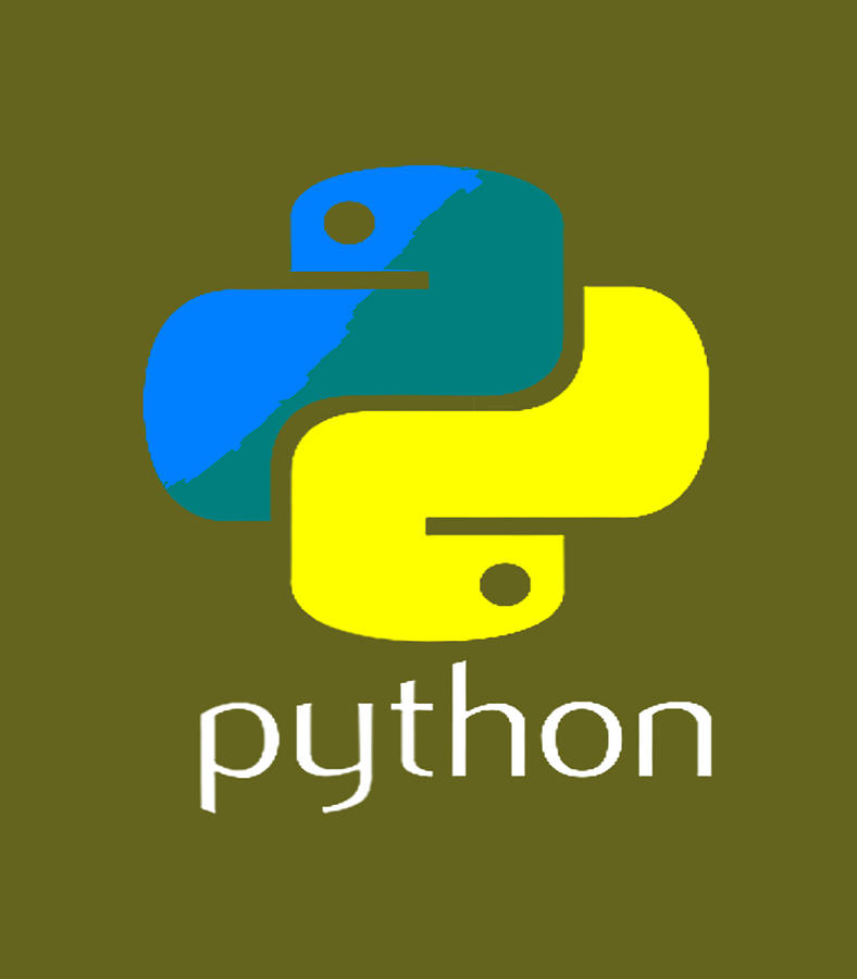 Python Programmer Computer Developers Digital Art by Parsa Hadeel ...