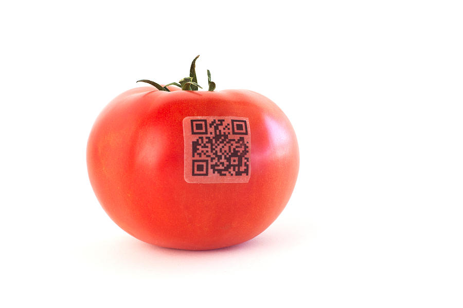 QR Code on Tomato Photograph by SimplyCreativePhotography