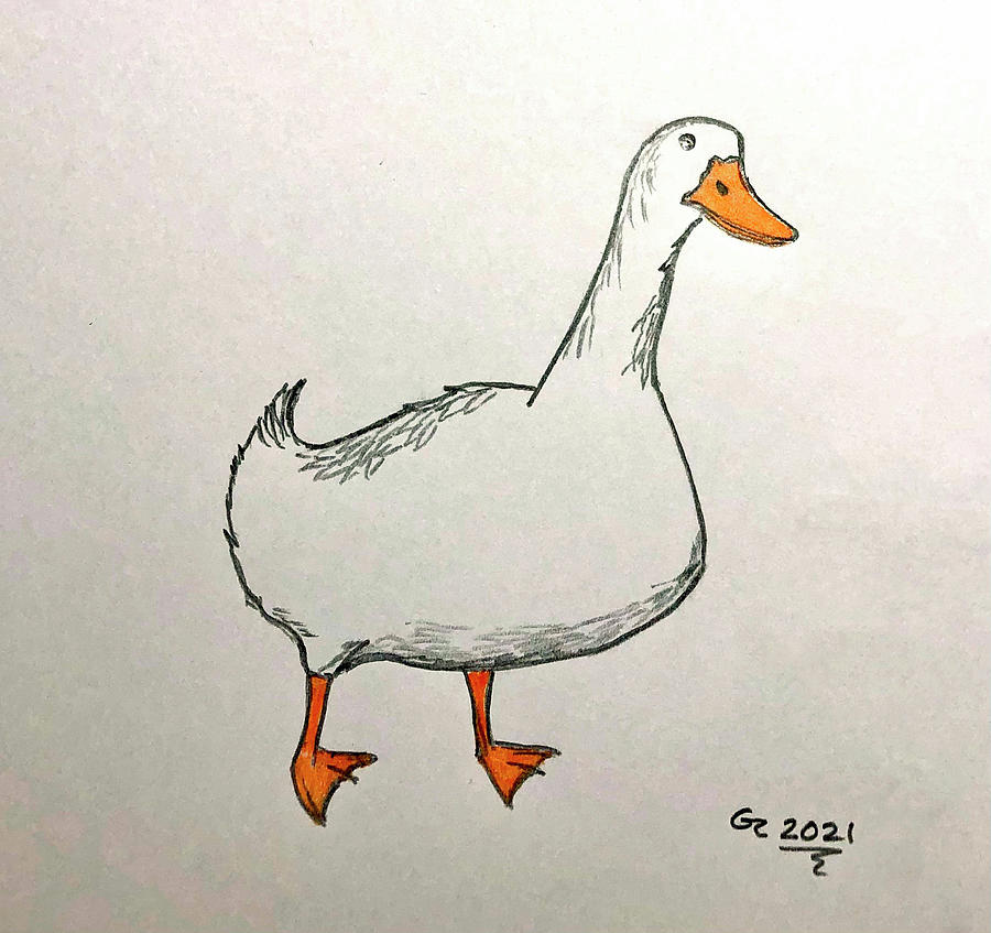 Quack Drawing by Grant Reid - Fine Art America