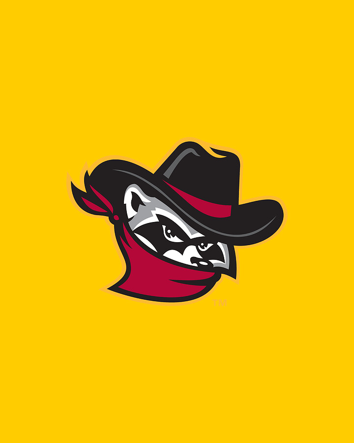 Quad Cities River Bandits Digital Art by Roy Qiosi Fine Art America