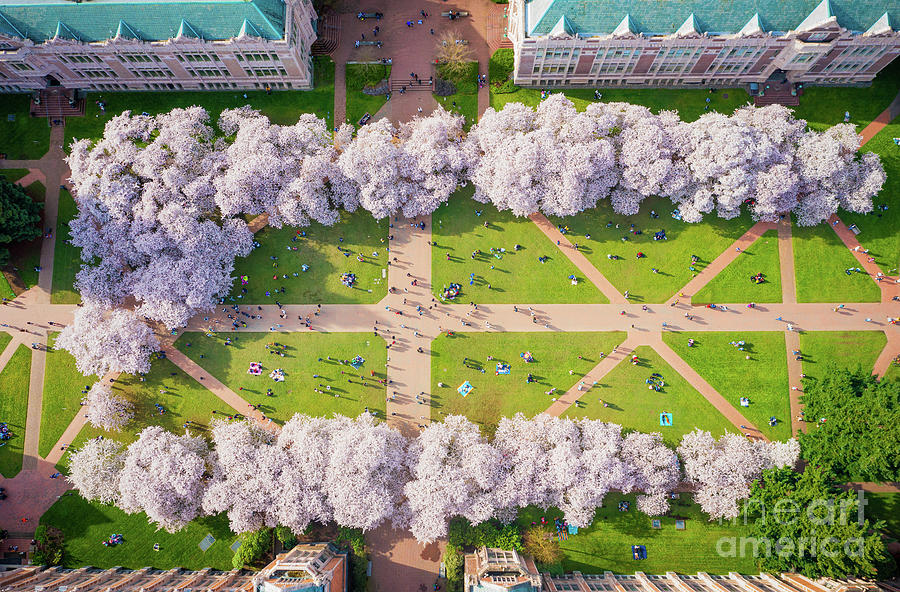 Quad from above Photograph by Inge Johnsson