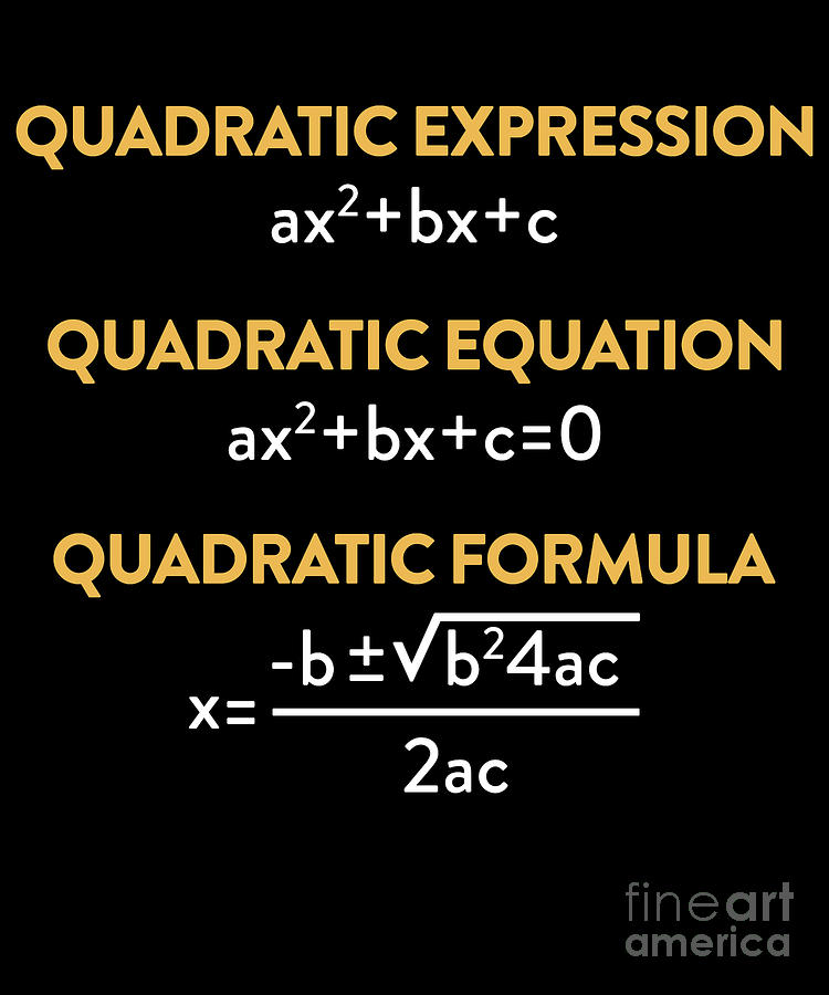 Student Drawing - Quadratic Equations Formula Examples Print Pi Day 2019 by Noirty Designs