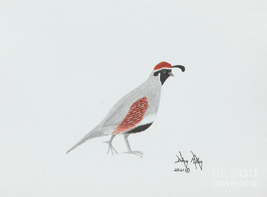 Quail 1 Painting by Doug Miller