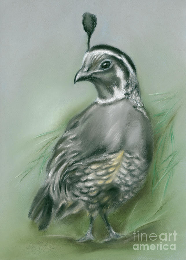 Quail and Pine Painting by MM Anderson