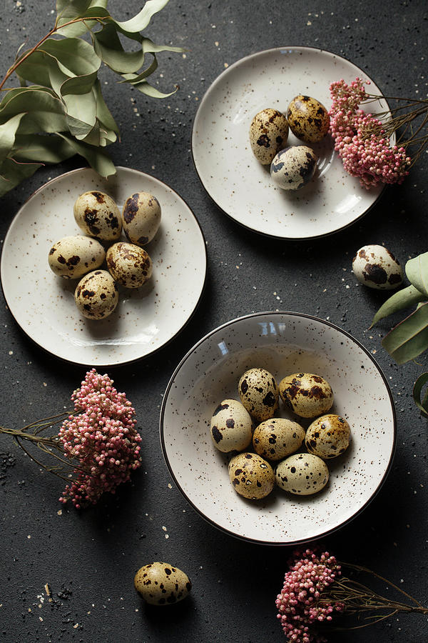 Quail Eggs In Speckled Plates With Beautiful Dried Flowers Photograph