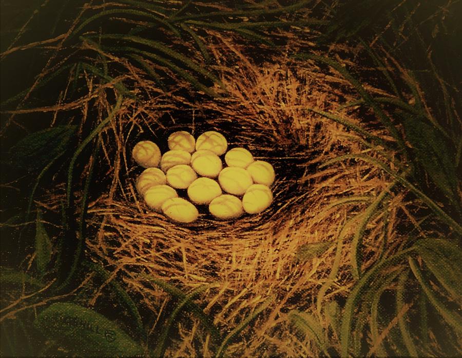 Animal Painting - Quails Nest by Charles Hill