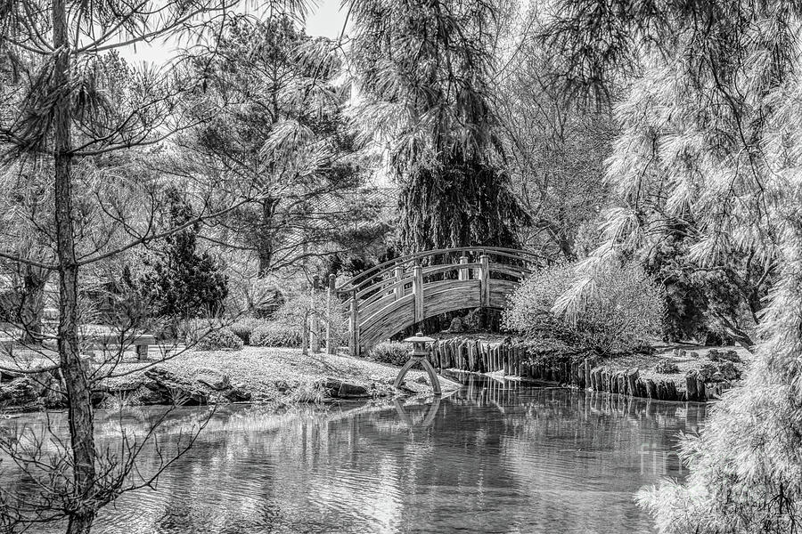 Quaint Botanical Bridge Grayscale Photograph by Jennifer White
