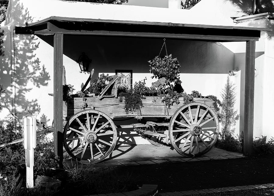 Quaint Carriage Black and White Photograph by Steve Templeton