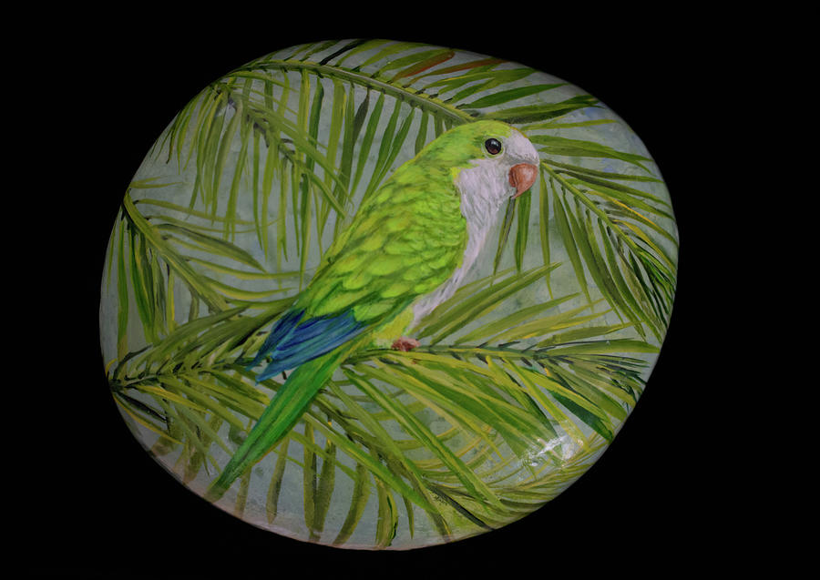 Quaker Parrot Painting by Nancy Lauby