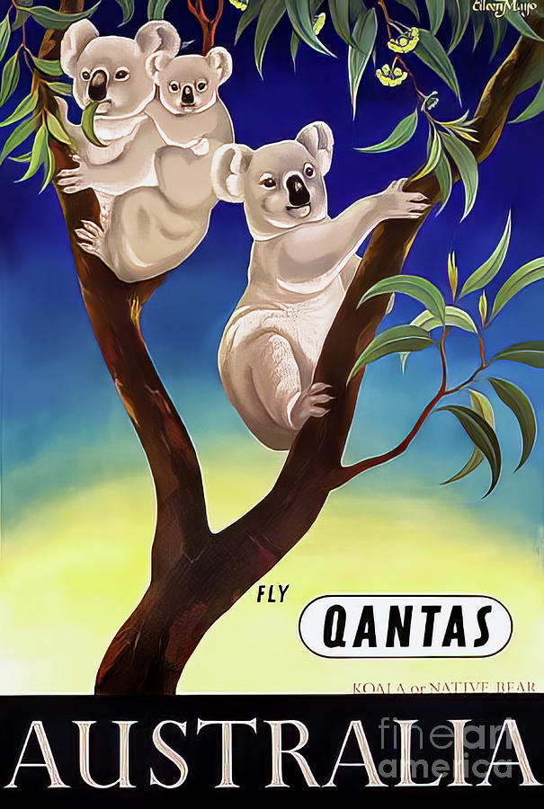 Quantas Koala Travel Poster Drawing by M G Whittingham