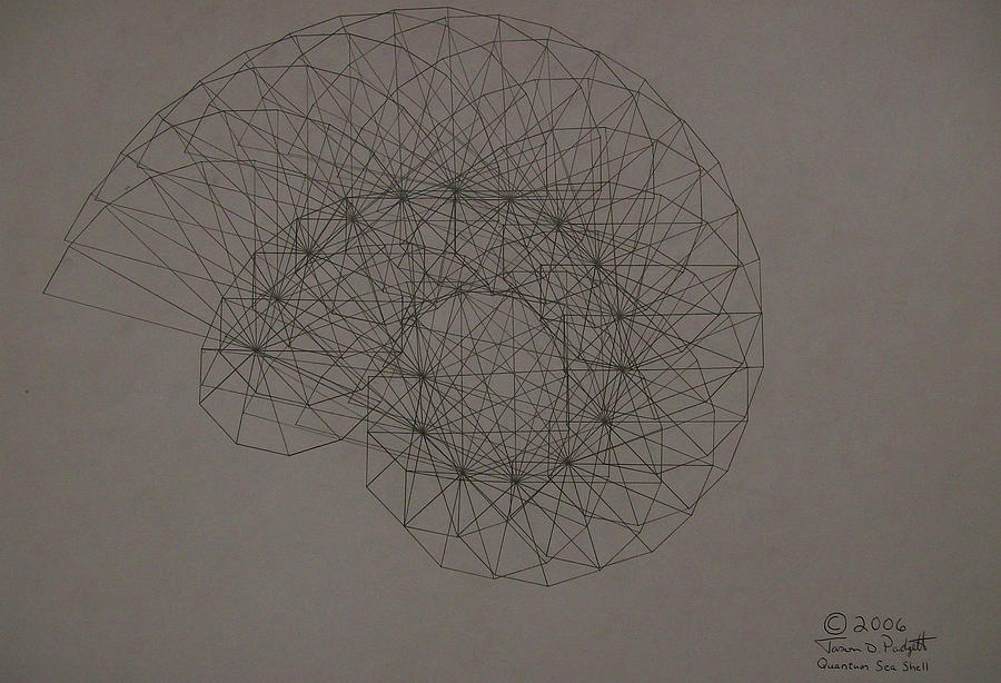Quantum Sea Shell Drawing by Jason Padgett