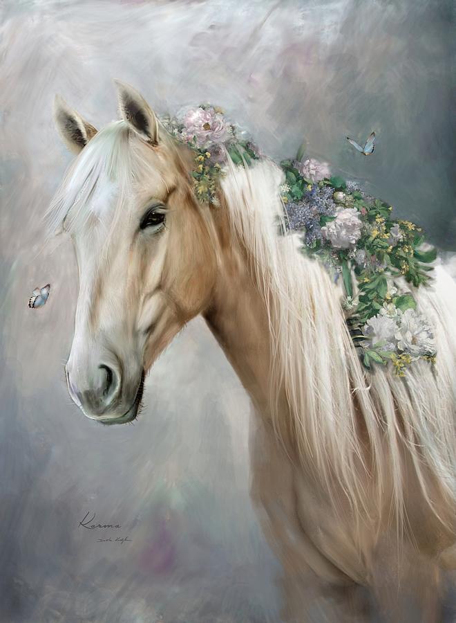 Quarter Horse Karma Digital Art by Dorota Kudyba - Fine Art America