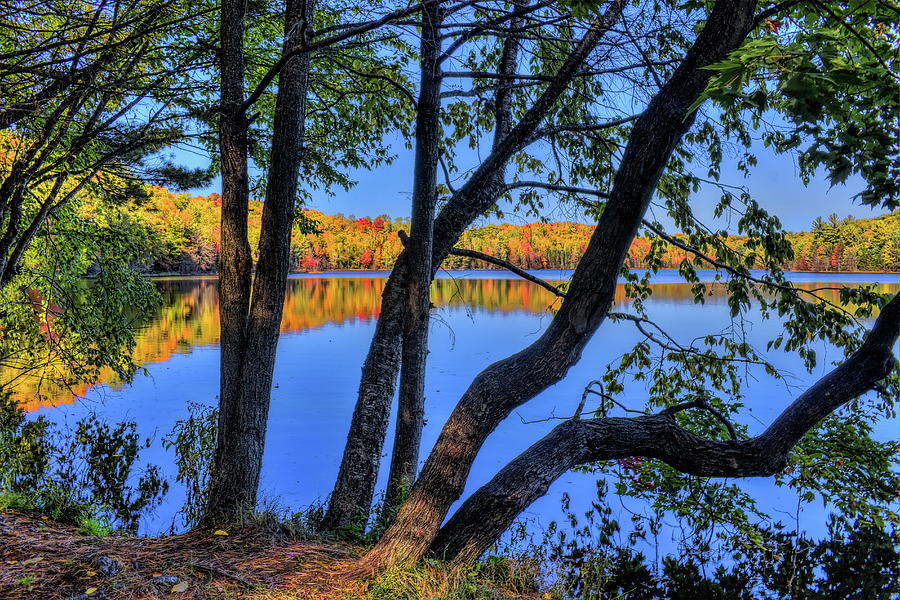 Quartz Lake Through The Trees Photograph by Dale Kauzlaric
