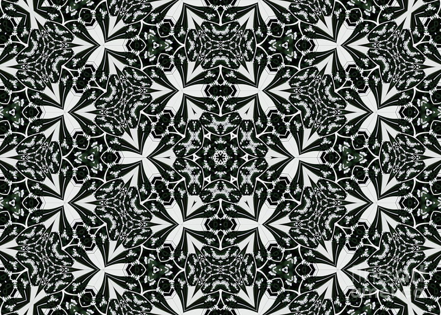 Queen Anne Lace Kaleidoscope - Black and White Photograph by Charles Robinson