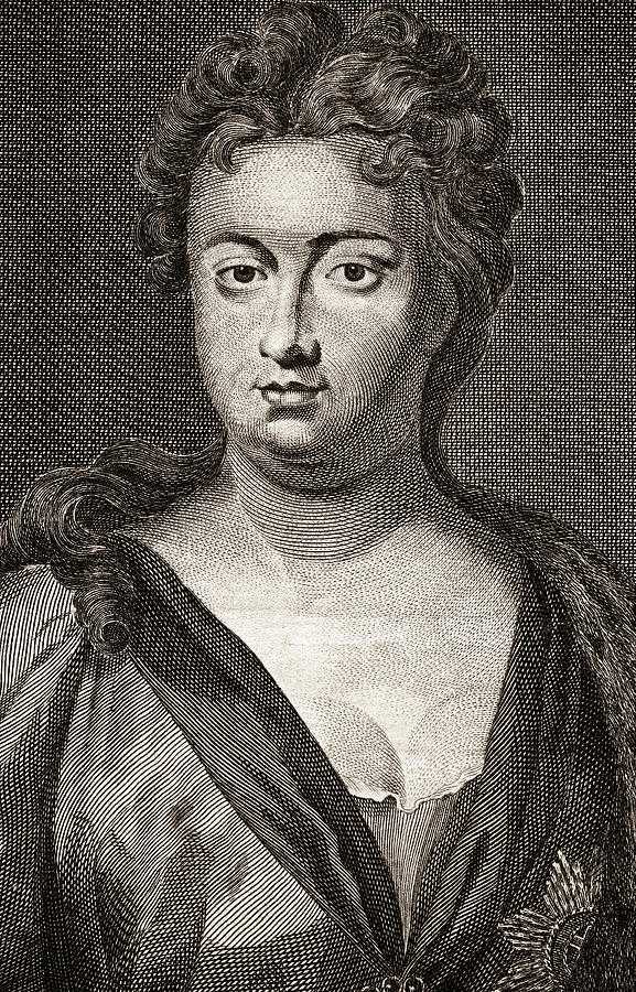 Queen anne Drawing by Pictore
