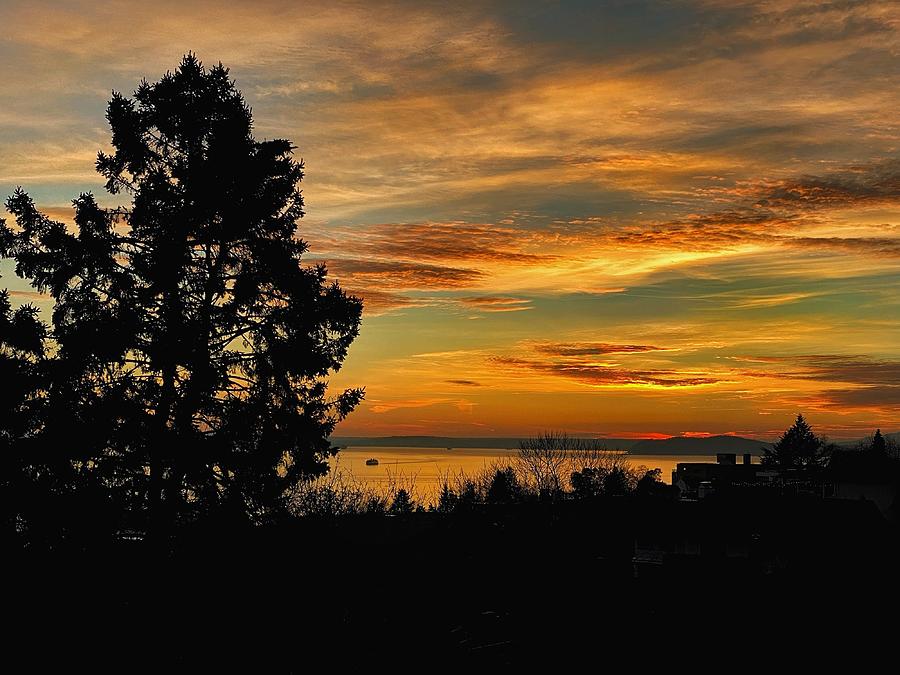 Queen Anne Sunset Silhouette  Photograph by Jerry Abbott