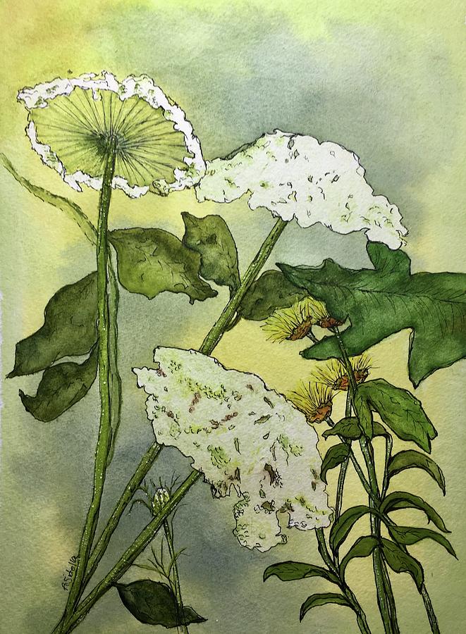 Queen Annes Lace Painting by Annamarie Sidella-Felts